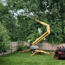 Best Tree Maintenance Programs  in Kerman, CA